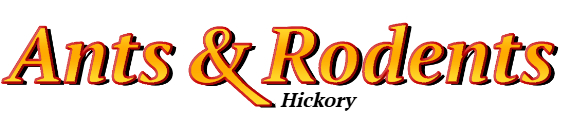 Hickory Ant Exterminator & Rodent Control Company Logo